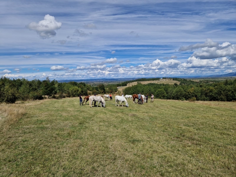 semaine rando à cheval Roumanie