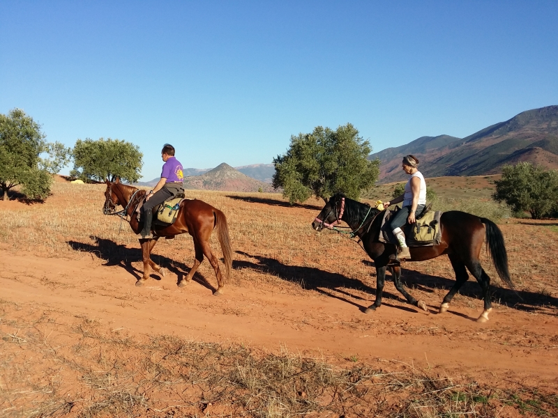 rando confort à cheval Maroc