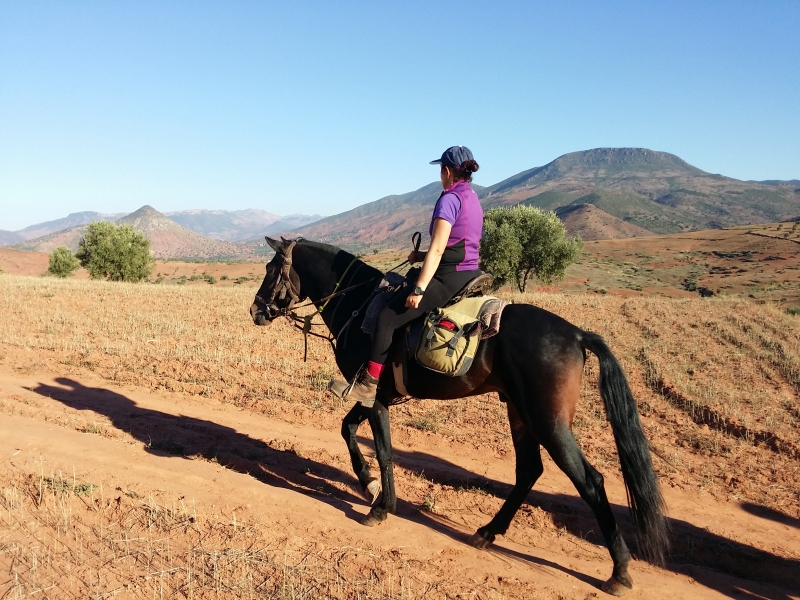 rando cheval confortable Maroc