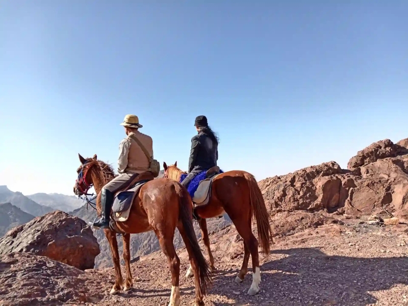 rando cheval Jordanie