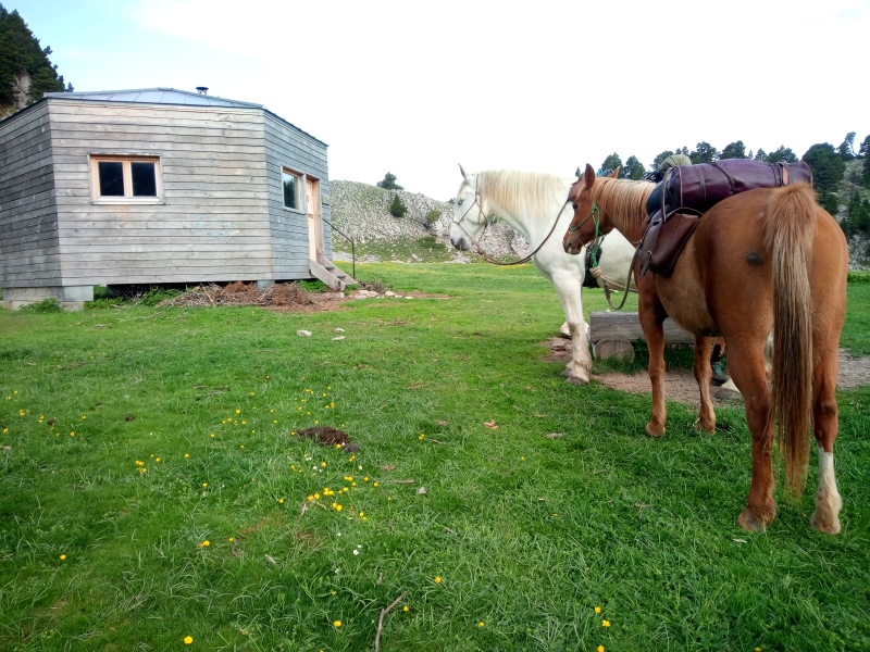 rando cheval Vercors