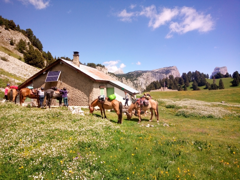 A cheval dans le Vercors