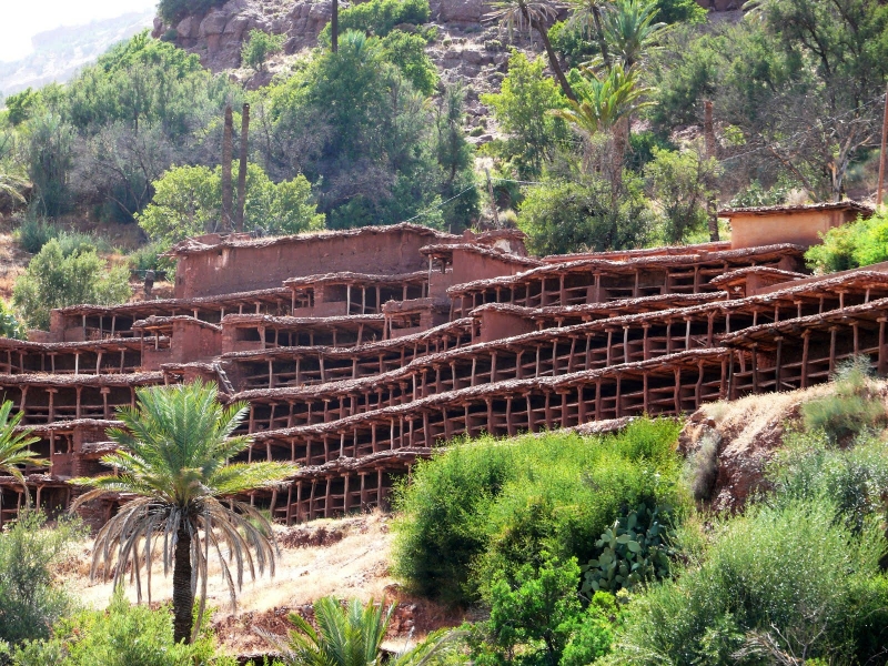 a cheval Atlas marocain