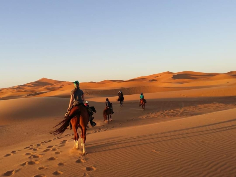 desert marocain a cheval