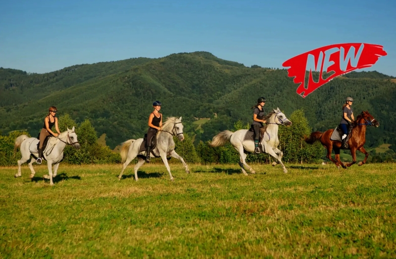 rando a cheval Roumanie