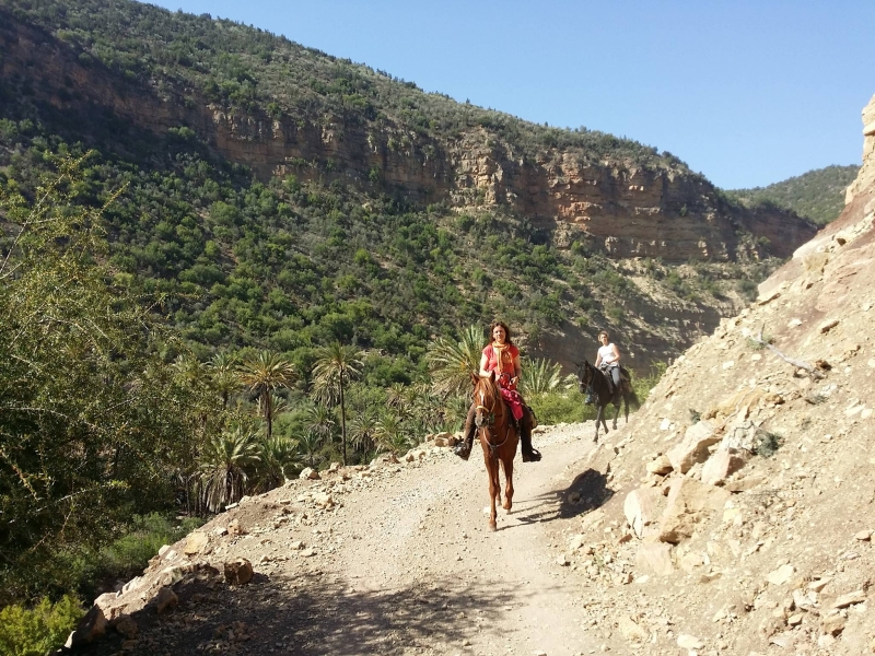 rando a cheval Atlas Maroc