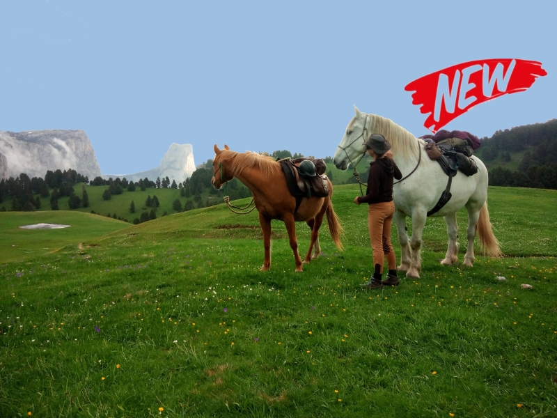 rando a cheval dans le Vercors