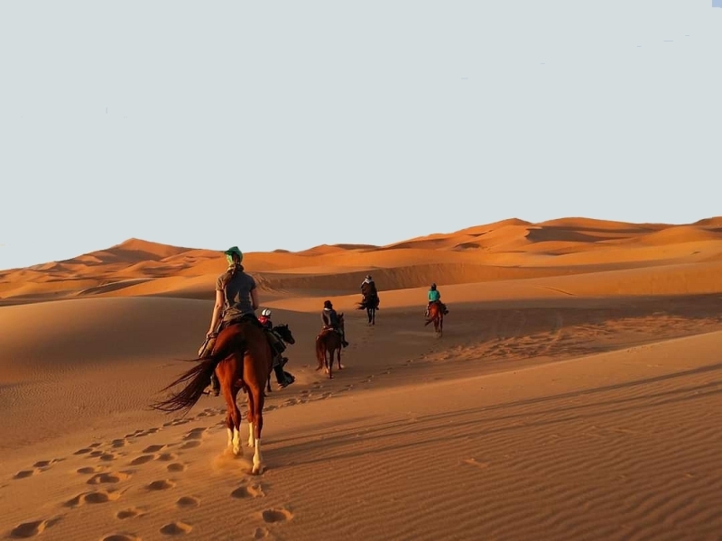 Désert marocain à cheval