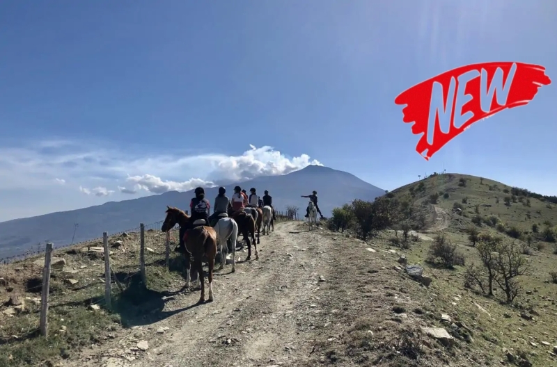 rando cheval Sicile