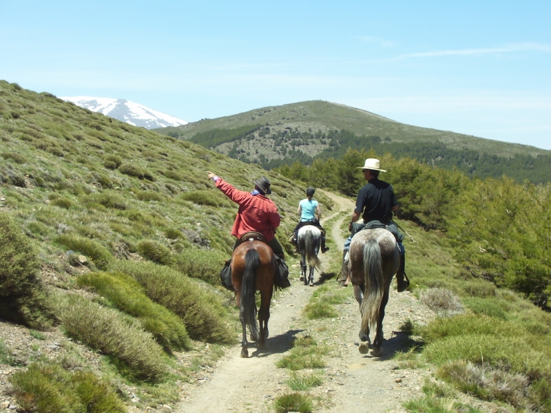 vacances équitation famille Andalousie