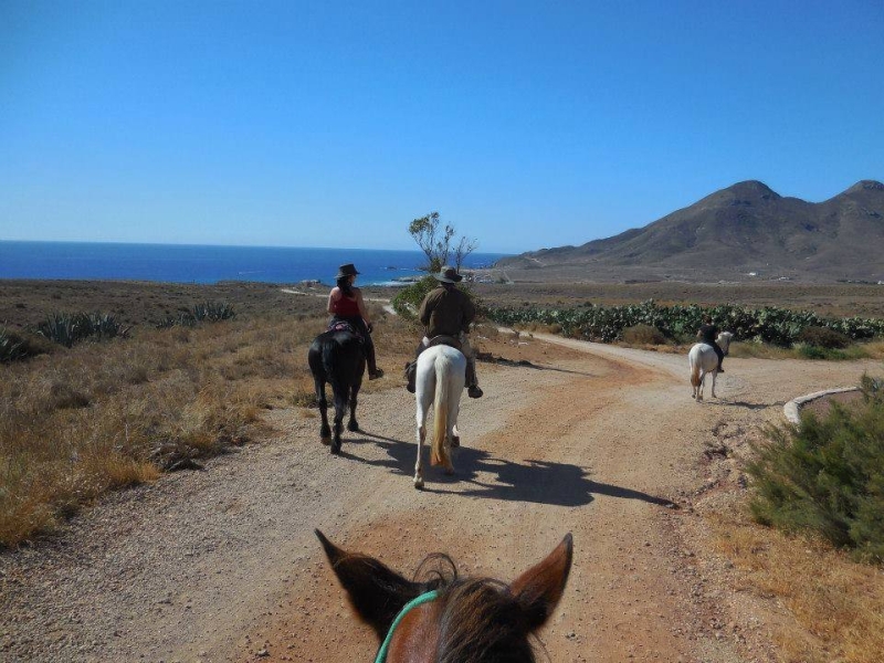 semaine a cheval en Andalousie