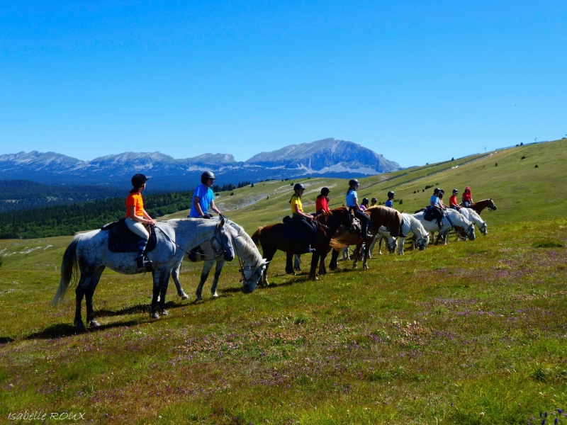 vacances à cheval ado