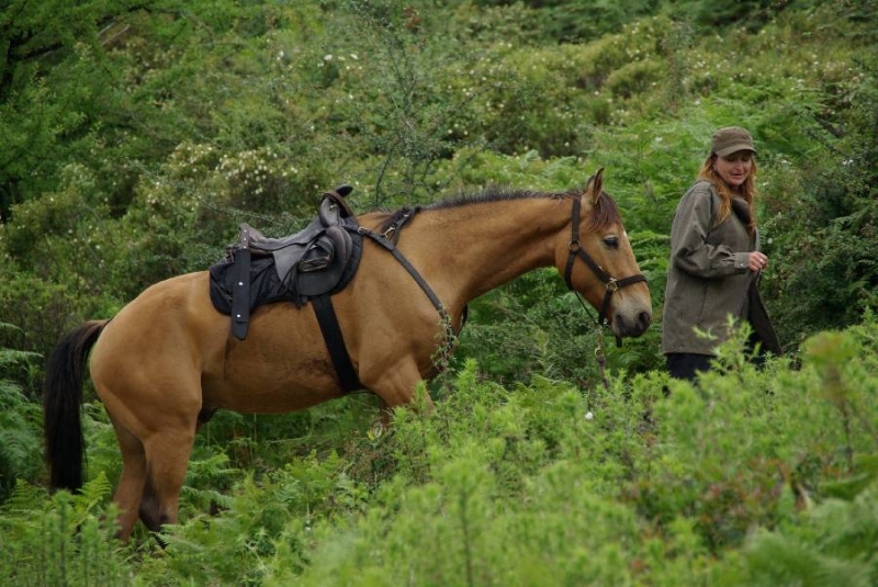 Corse à cheval