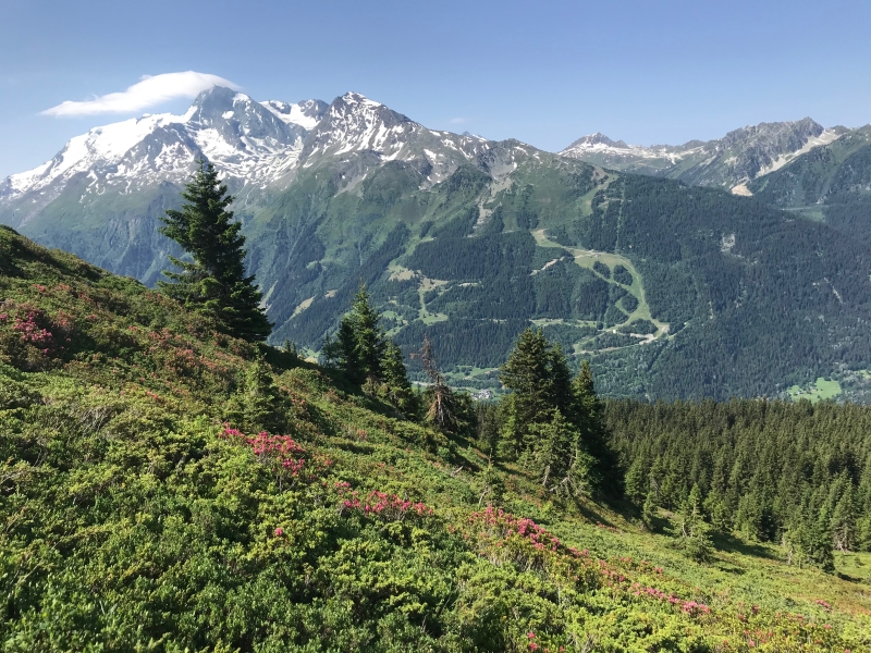 rando semaine cheval alpes