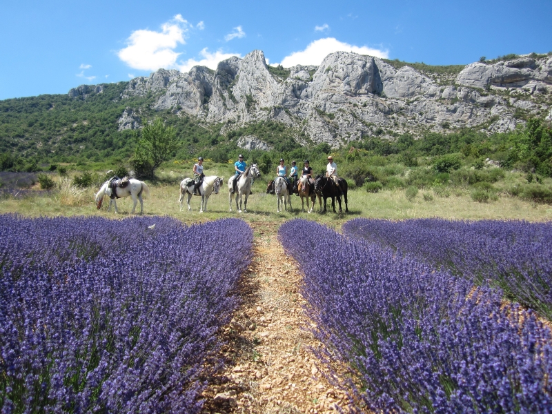 rando a cheval Vaucluse