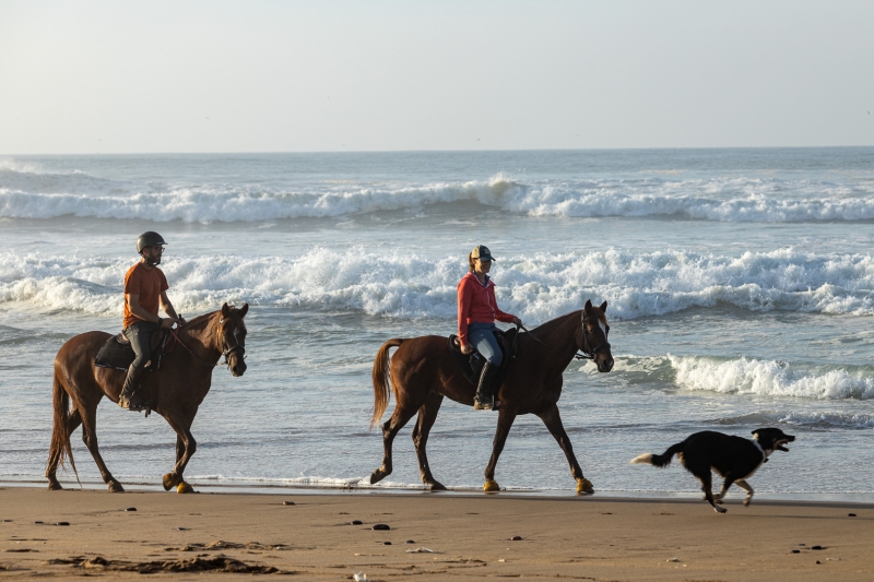 Maroc à cheval