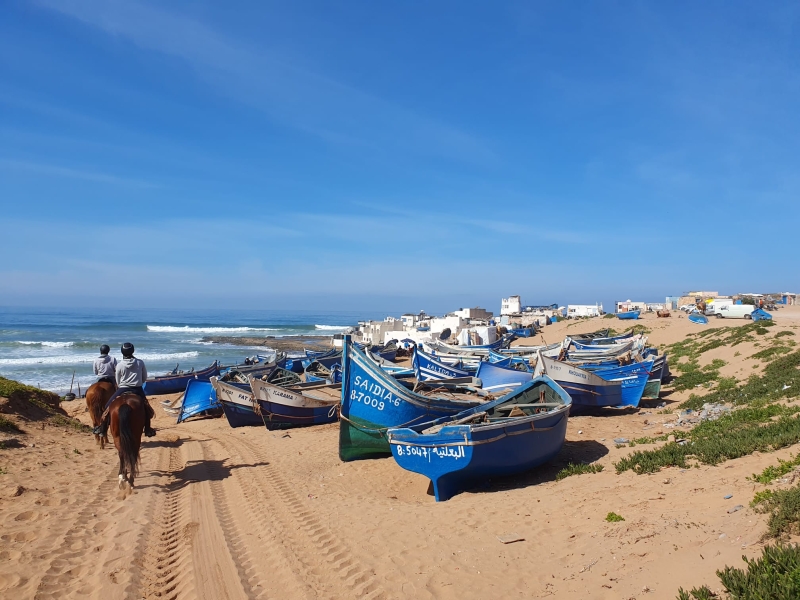 stage équestre au Maroc