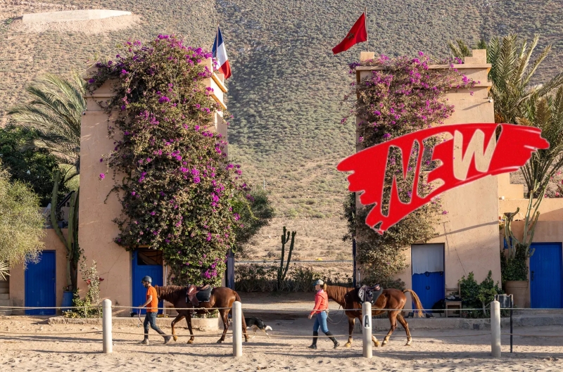 vacances à cheval au Maroc