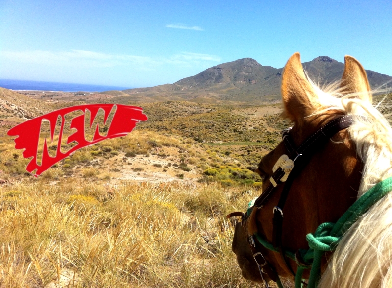rando a cheval en Andalousie