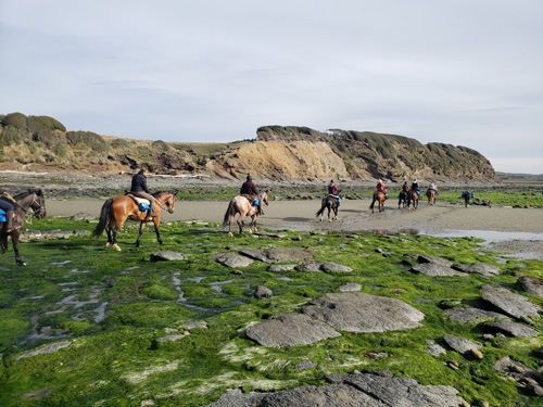 rando a cheval en Patagonie