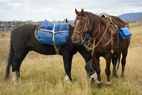 rando à cheval en Patagonie