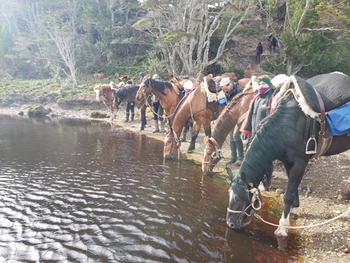 Argentine Patagonie en rando à cheval