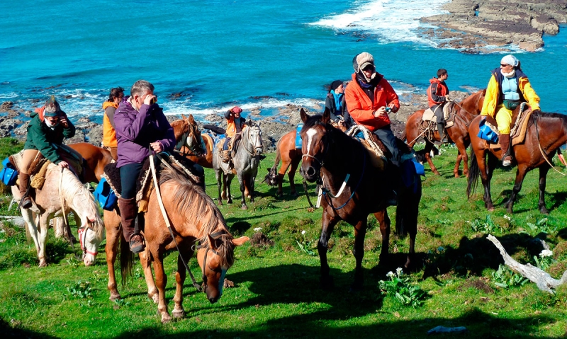rando cheval Argentine Patagonie