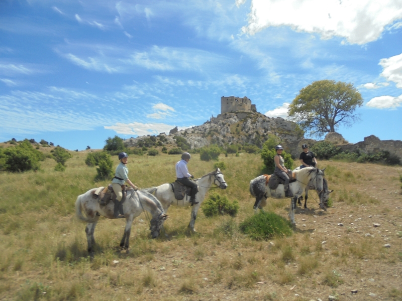 a cheval en provence