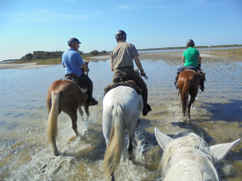 rando semaine a cheval en provence