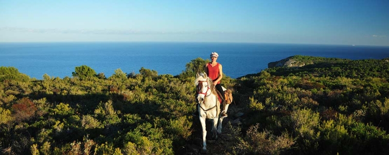 Catalogne à cheval