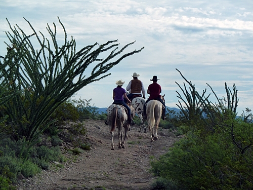 USA à cheval