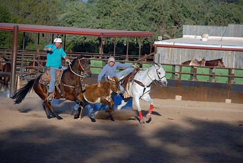 Ranch USA à cheval