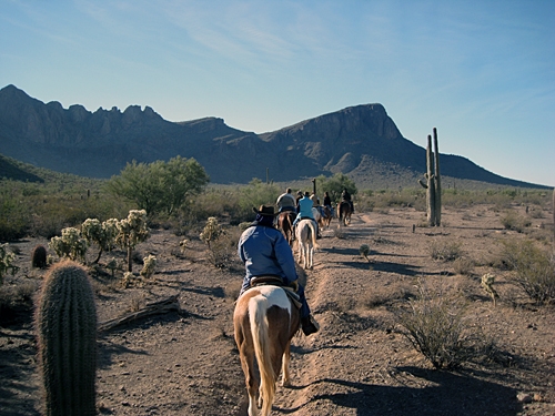 cheval Ouest USA