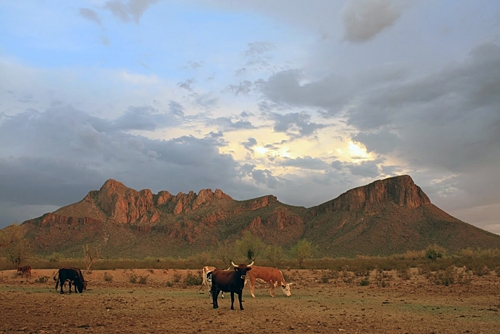 Ouest USA à cheval