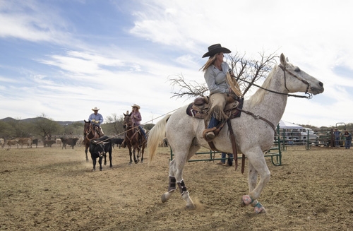 Arizona à cheval