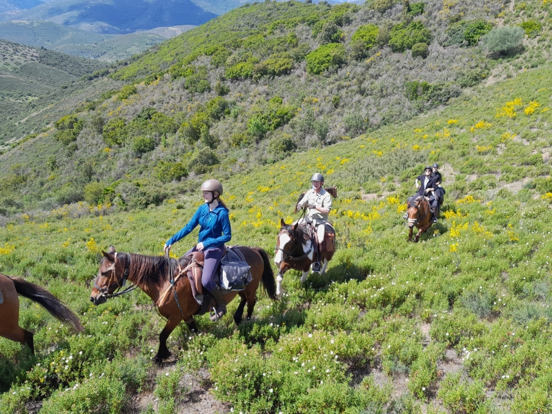 randonnée à cheval Corse