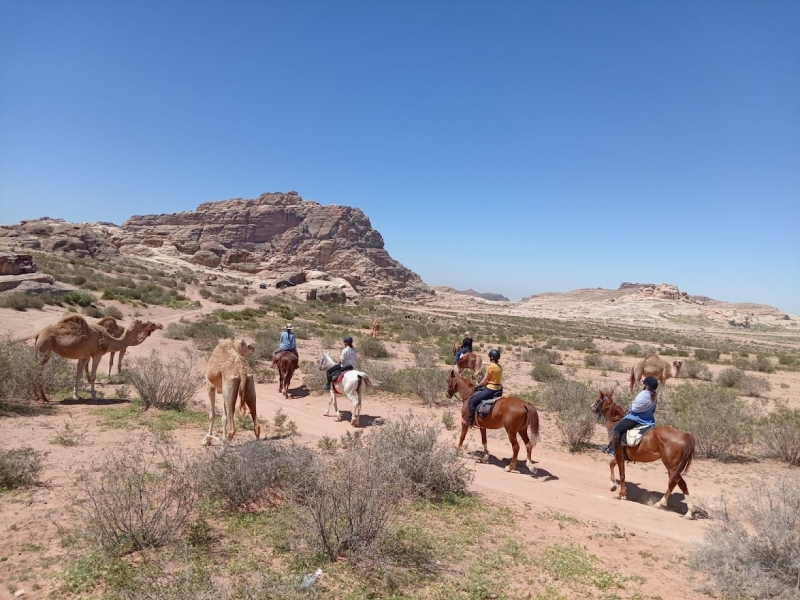 rando semaine cheval Jordanie