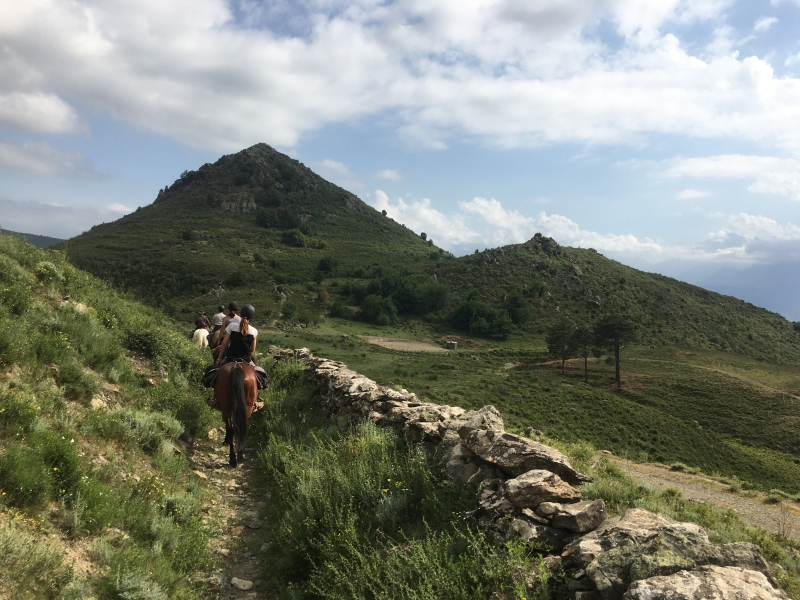 à cheval en Corse