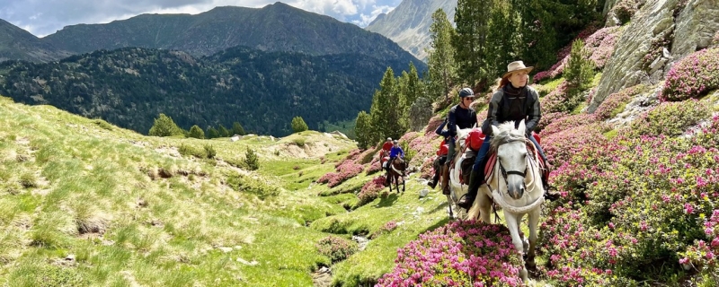 Rando à cheval dans les Pyrénées