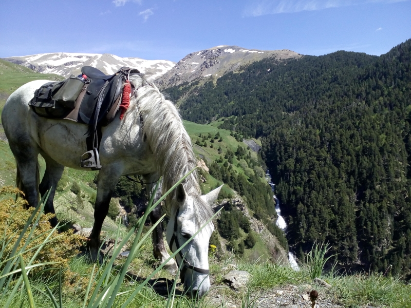 rando à cheval dans les Hautes Pyrénées