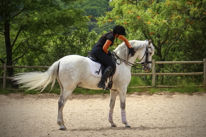 vacances cheval au Porugal