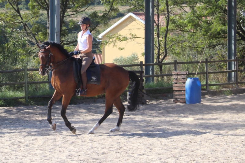 Portugal semaine équitation