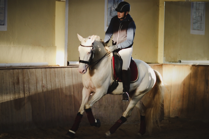 Equitation portugaise au Portugal