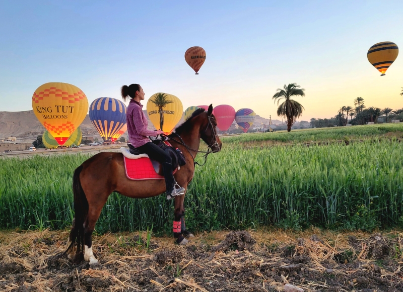 randonnée a cheval Egypte