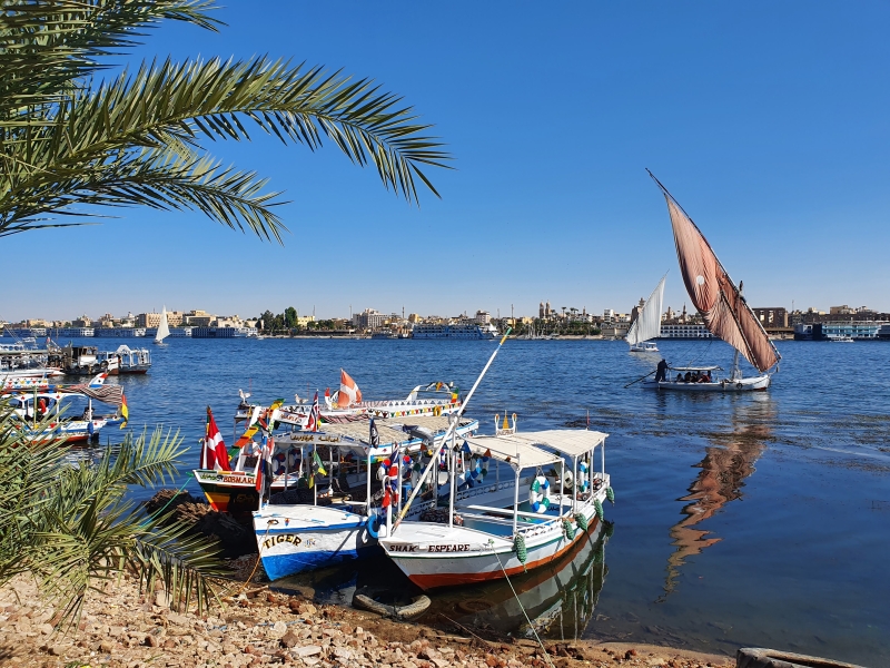 rando equestre Egypte