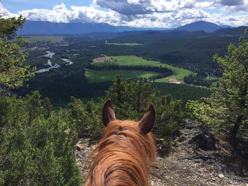 rando equestre canada