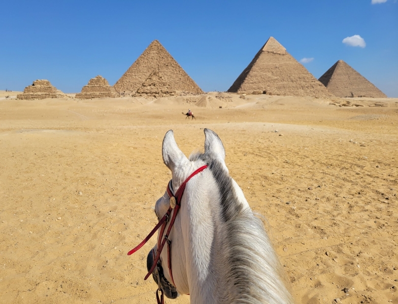 voyage à cheval en Egypte