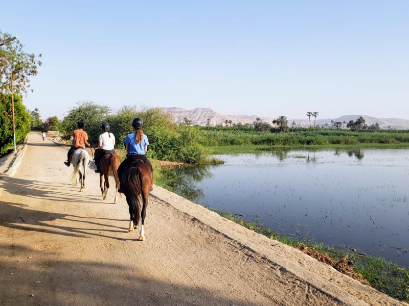 semaine rando à cheval en Egypte