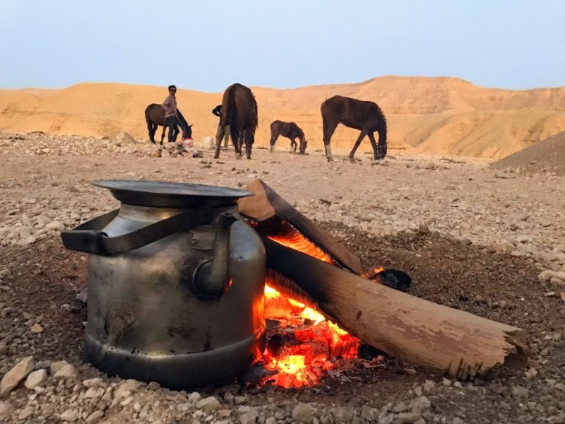 A cheval en Egypte