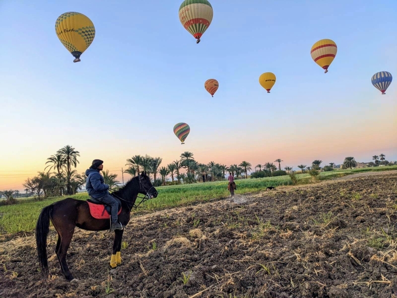 Egypte rando à cheval